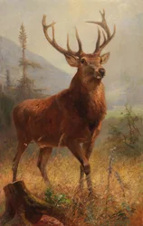 Trophäenhirsch in einer offenen Landschaft